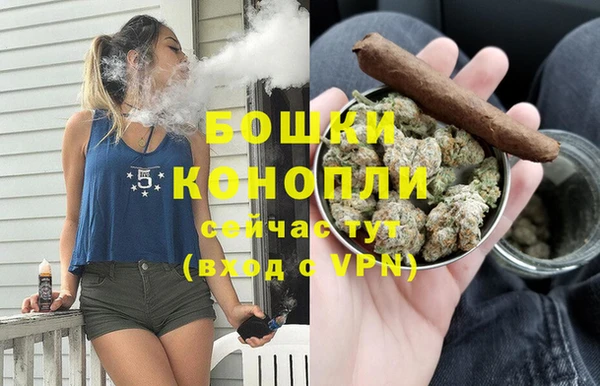 шишки Вязники