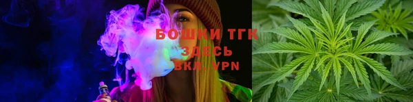 шишки Вязники